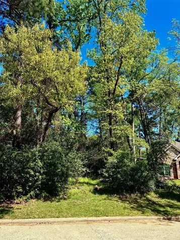 3015 Chaucer Drive Montgomery TX 77356