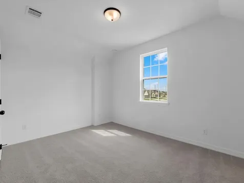 21931 Pecan Buff Drive Waller TX 77484