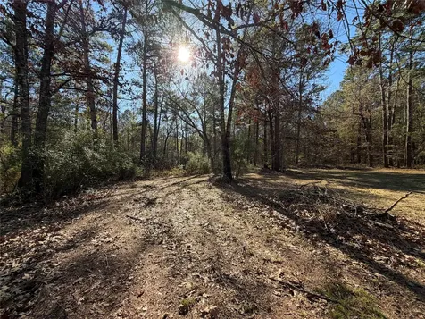 397 County Road 2117 Cleveland TX 77327