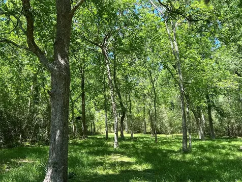 4901 County Road 216 Hungerford TX 77435
