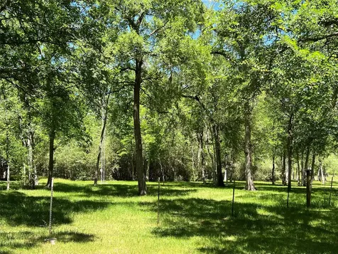 4901 County Road 216 Hungerford TX 77435