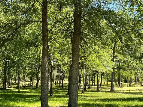 4901 County Road 216 Hungerford TX 77435