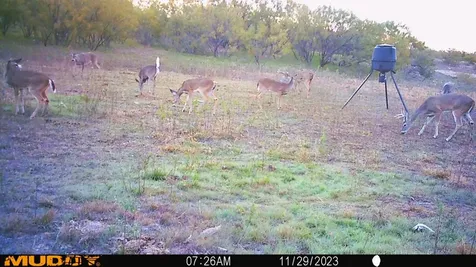 88291 Suaa Rd Well Lohn TX 76852