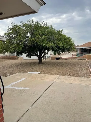 1901 Jefferson Street Mission TX 78572