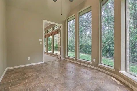 14 Mystic Pines Court The Woodlands TX 77382