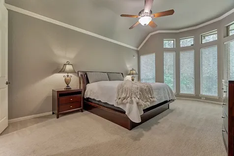 14 Mystic Pines Court The Woodlands TX 77382