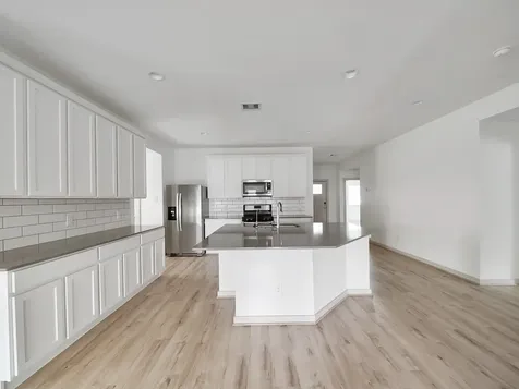 29511 Ella Larchmont Court Katy TX 77494
