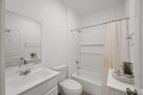 25808 Rugosa Drive Magnolia TX 77355