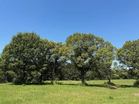 Tbd Highway 75 South Buffalo TX 75831