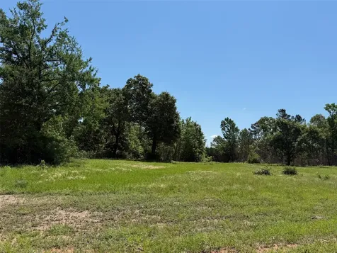 Tbd Highway 75 South Buffalo TX 75831