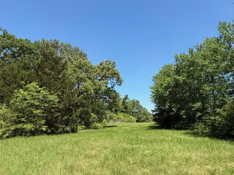 Tbd Highway 75 South Buffalo TX 75831