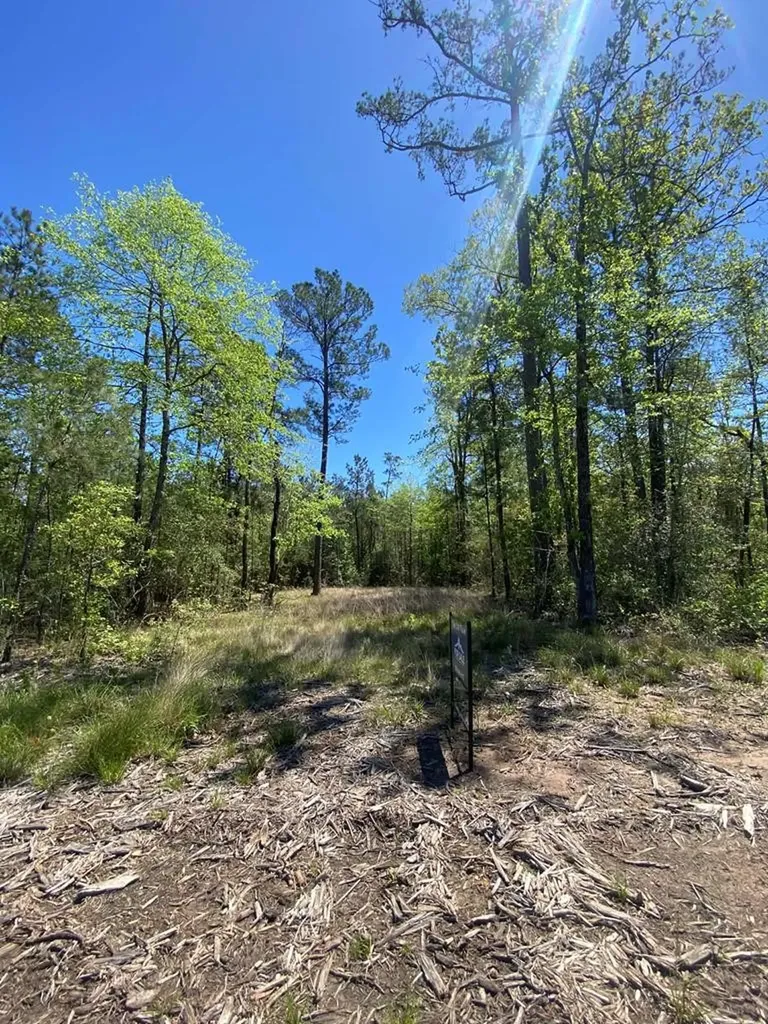 39-A Fm 1751 Broaddus TX 75929