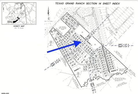 14-37-51 Larkspur Lane New Waverly TX 77358