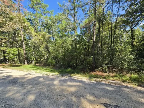 50, 51, 52 Burrow Lane Brookeland TX 75931