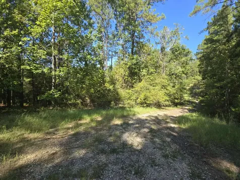 50, 51, 52 Burrow Lane Brookeland TX 75931