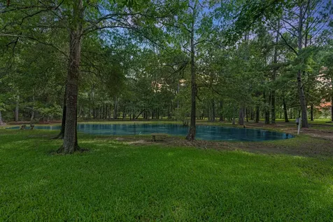 205 Mohawk Lane Wallisville TX 77597