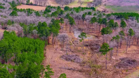 148 Private Road 8033 Crockett TX 75835