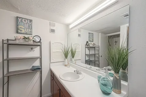 3075 Walnut Bend Lane 28 Houston TX 77042