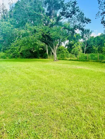 2215 Dewalt Street Houston TX 77088
