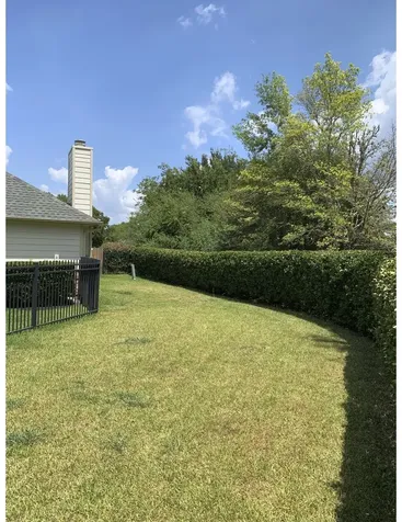 7242 Welshwood Lane Sugar Land TX 77479