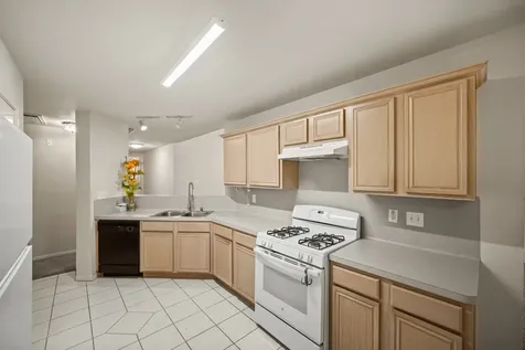 19322 Cactus Rose Drive Katy TX 77449