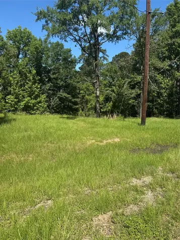 Tbd Rose, Red Clover Livingston TX 77351