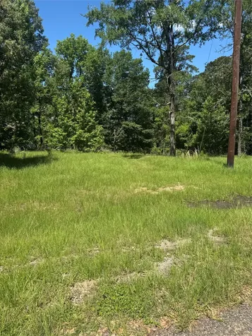 Tbd Rose, Red Clover Livingston TX 77351