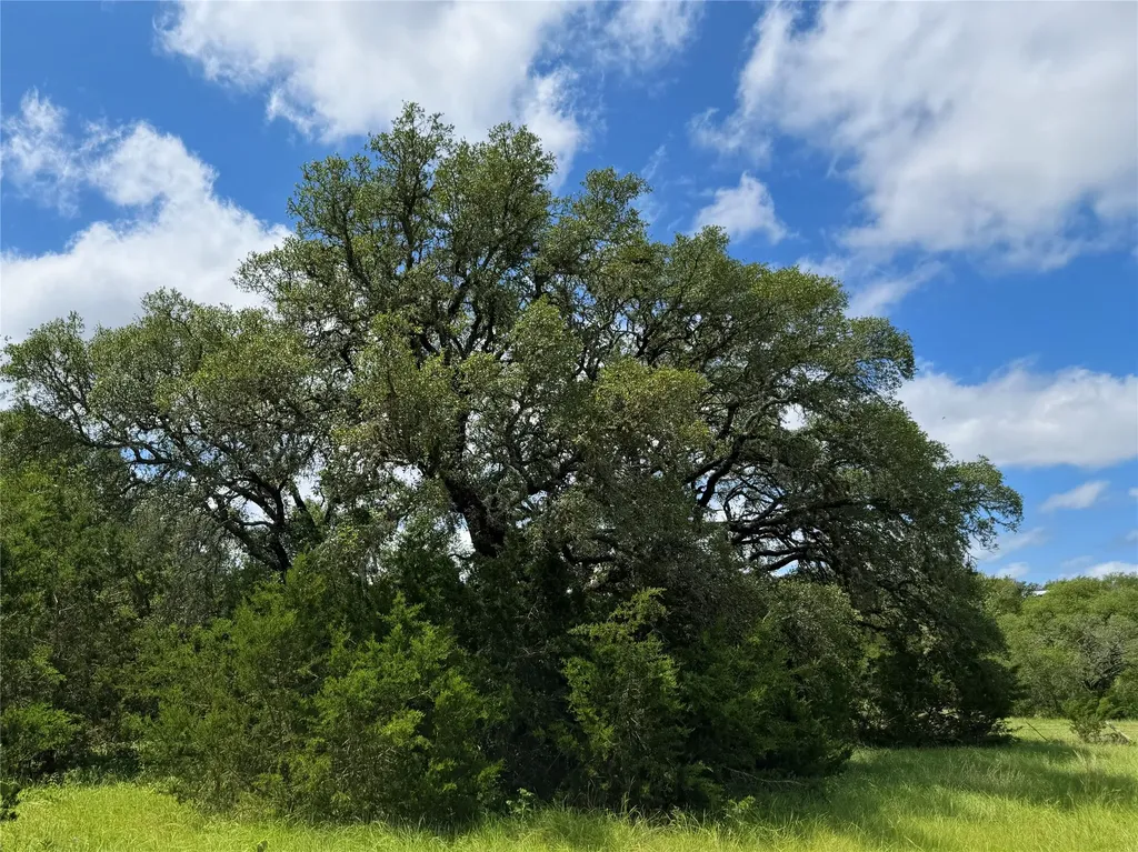 475 Oakridge Lane Pipe Creek TX 78063