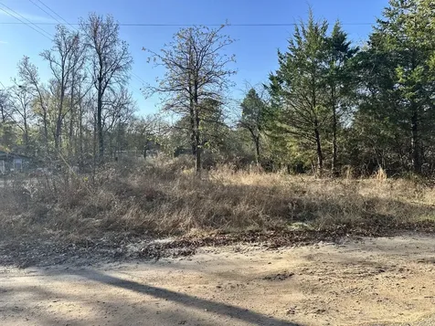 Lot 529 Hickory Lane Mineola TX 75773