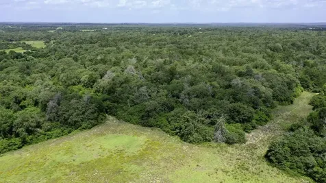 Tbd Cr 328, Tract 3, 10 Acres Caldwell TX 77836