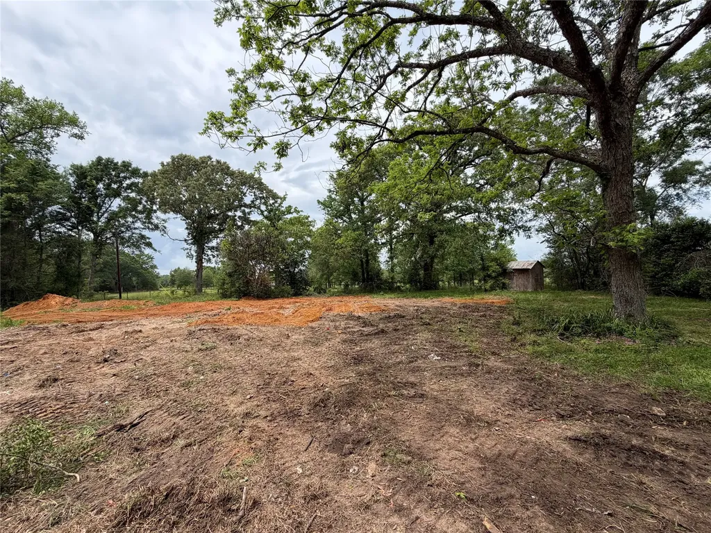 4831 Menard Chapel Road Livingston TX 77351