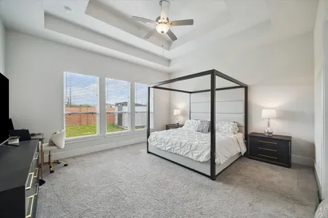9023 Bayou Spring Court Missouri City TX 77459