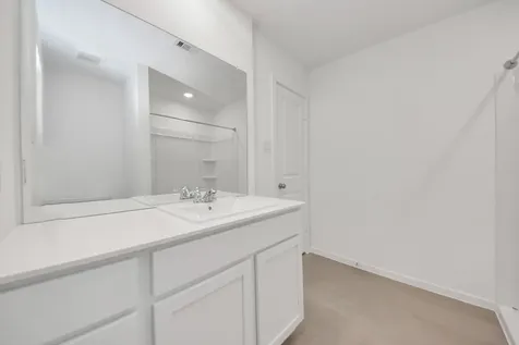 26807 Dalmatian Bellflower Drive Katy TX 77493