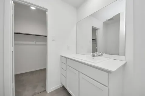 26807 Dalmatian Bellflower Drive Katy TX 77493