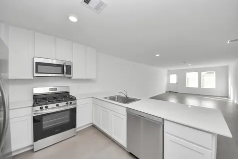 26807 Dalmatian Bellflower Drive Katy TX 77493
