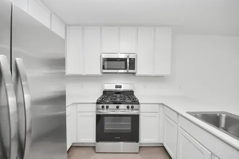 26807 Dalmatian Bellflower Drive Katy TX 77493