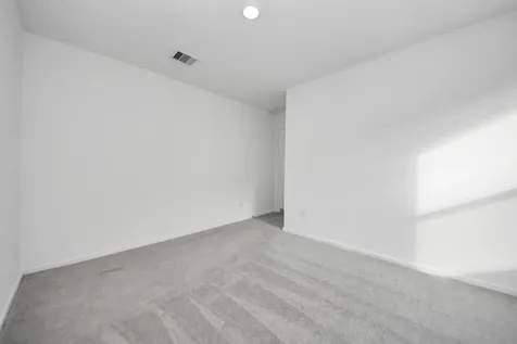 26807 Dalmatian Bellflower Drive Katy TX 77493