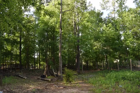893 County Road 5015 Cleveland TX 77327