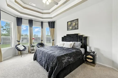 17497 Chestnut Cove Drive Conroe TX 77302