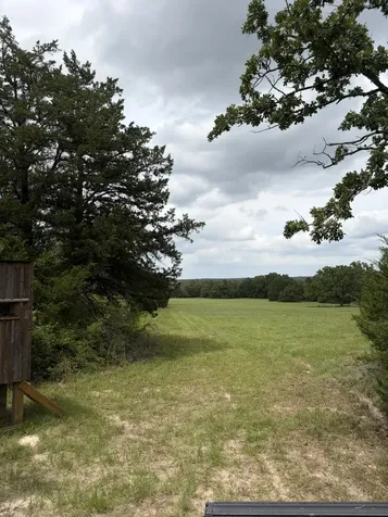3231 Cr 427 Marquez TX 77865