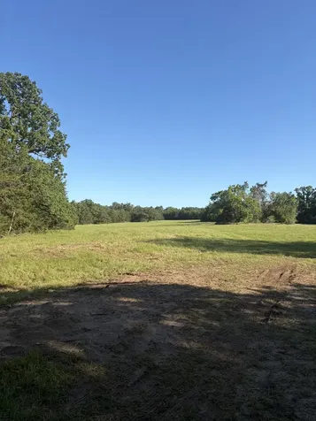 3231 Cr 427 Marquez TX 77865