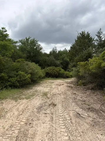 3231 Cr 427 Marquez TX 77865