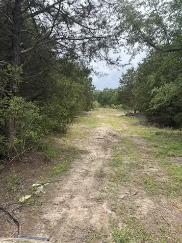 3231 Cr 427 Marquez TX 77865