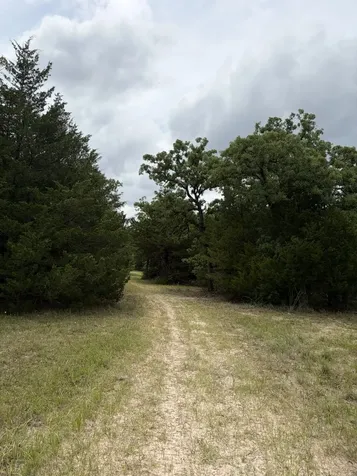 3231 Cr 427 Marquez TX 77865