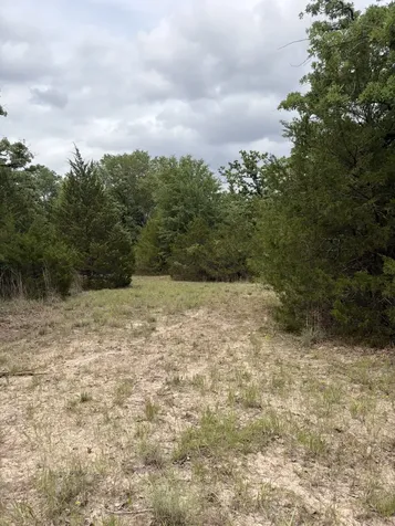 3231 Cr 427 Marquez TX 77865