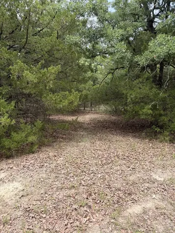 3231 Cr 427 Marquez TX 77865