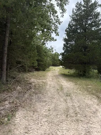 3231 Cr 427 Marquez TX 77865