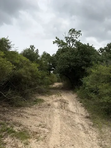 3231 Cr 427 Marquez TX 77865