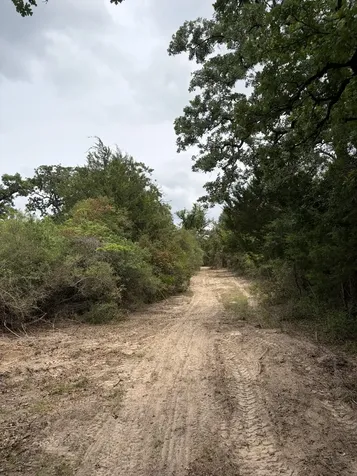 3231 Cr 427 Marquez TX 77865