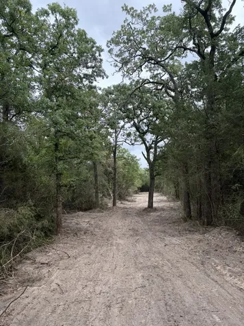 3231 Cr 427 Marquez TX 77865